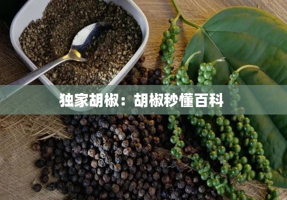 独家胡椒：胡椒秒懂百科 