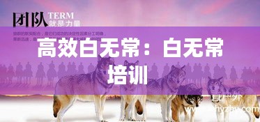 高效白无常：白无常培训 