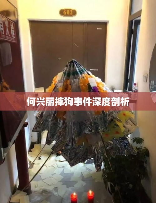 何兴丽摔狗事件深度剖析