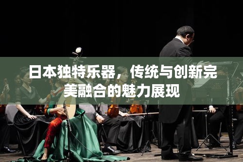 日本独特乐器，传统与创新完美融合的魅力展现