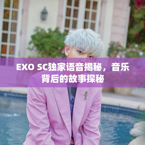 EXO SC独家语音揭秘，音乐背后的故事探秘