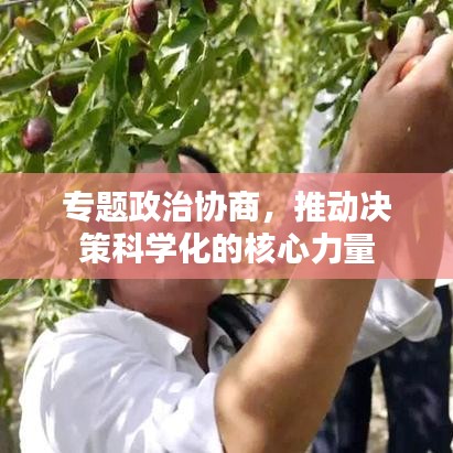 专题政治协商，推动决策科学化的核心力量