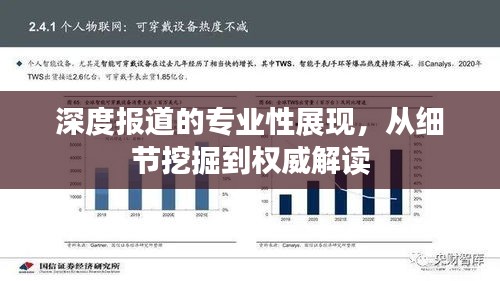 深度报道的专业性展现，从细节挖掘到权威解读