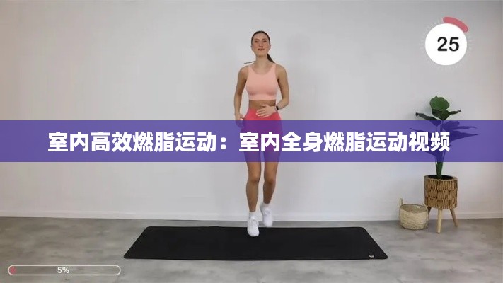 室内高效燃脂运动：室内全身燃脂运动视频 