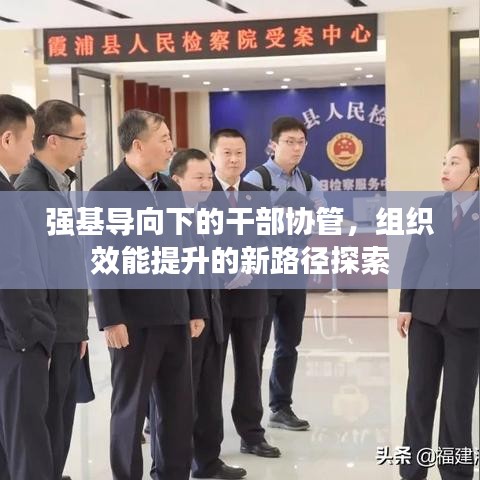 强基导向下的干部协管，组织效能提升的新路径探索
