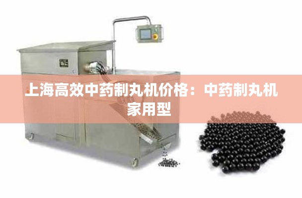 上海高效中药制丸机价格：中药制丸机家用型 