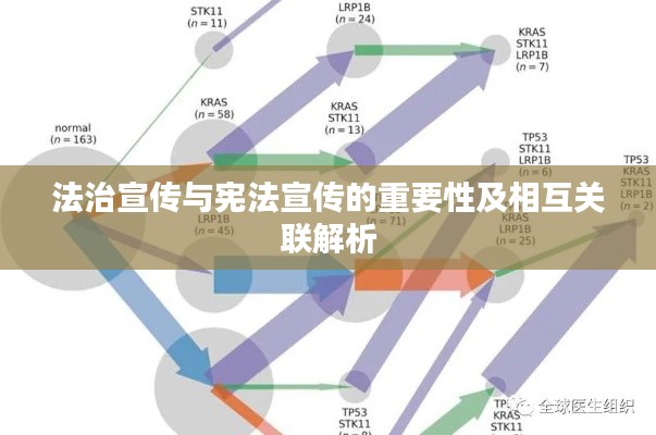 法治宣传与宪法宣传的重要性及相互关联解析