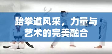 跆拳道风采，力量与艺术的完美融合