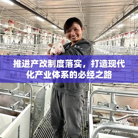 推进产改制度落实，打造现代化产业体系的必经之路