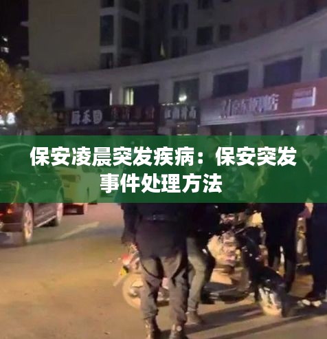 有张没智 第3页