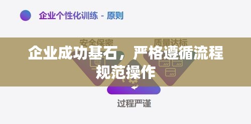 企业成功基石，严格遵循流程规范操作