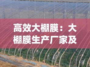 高效大棚膜：大棚膜生产厂家及价格,很多人不知道! 