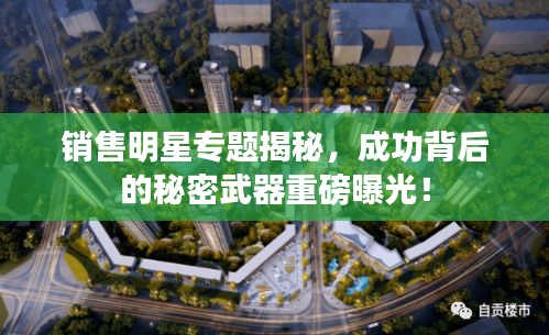 销售明星专题揭秘，成功背后的秘密武器重磅曝光！