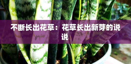 不断长出花草：花草长出新芽的说说 