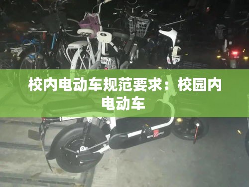 校内电动车规范要求：校园内电动车 