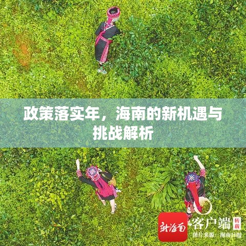 政策落实年，海南的新机遇与挑战解析