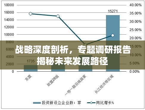 战略深度剖析，专题调研报告揭秘未来发展路径
