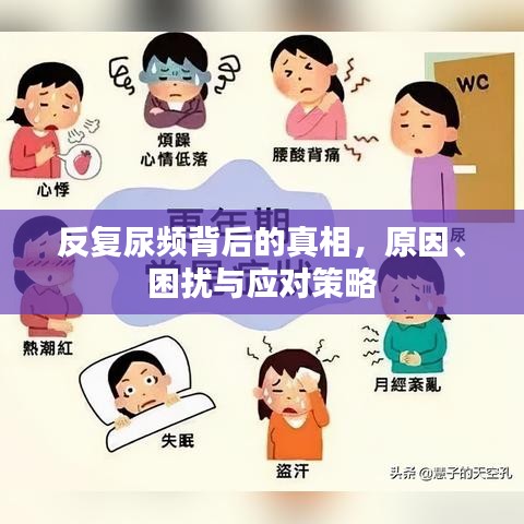 反复尿频背后的真相，原因、困扰与应对策略