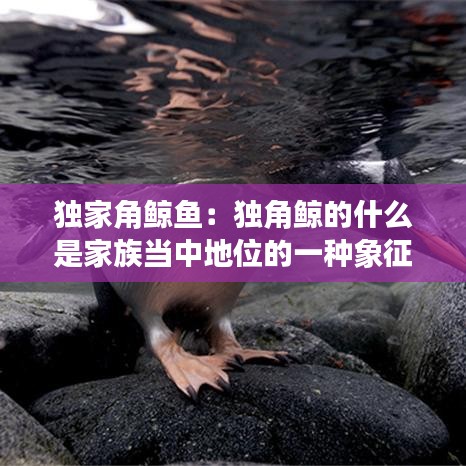 片口张舌 第2页