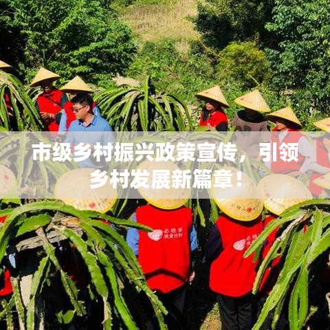 市级乡村振兴政策宣传，引领乡村发展新篇章！