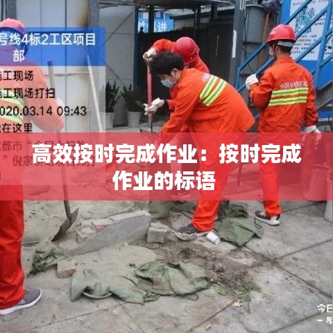 高效按时完成作业：按时完成作业的标语 