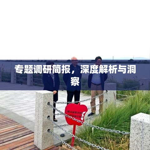 专题调研简报，深度解析与洞察