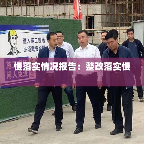 慢落实情况报告：整改落实慢 