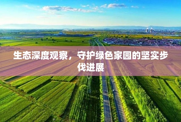 反朴归真 第3页