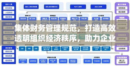集体财务管理规范，打造高效透明组织经济秩序，助力企业稳健发展