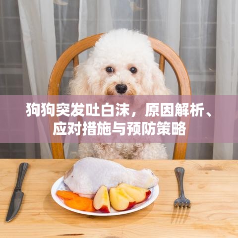 狗狗突发吐白沫，原因解析、应对措施与预防策略