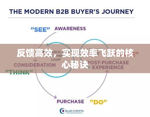 反馈高效，实现效率飞跃的核心秘诀