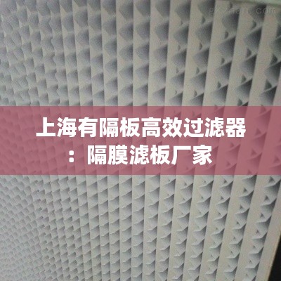 上海有隔板高效过滤器：隔膜滤板厂家 