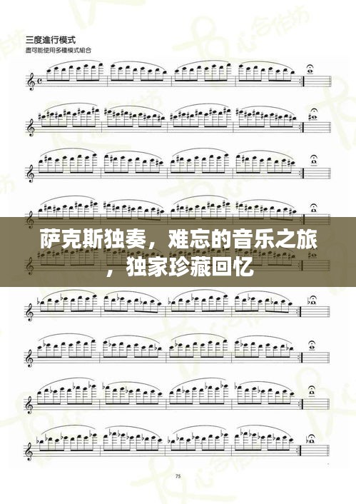萨克斯独奏，难忘的音乐之旅，独家珍藏回忆