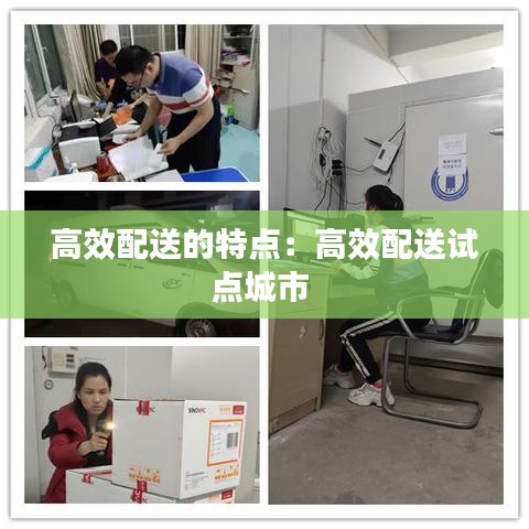 高效配送的特点：高效配送试点城市 