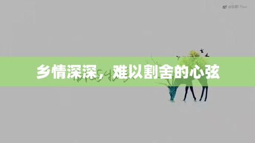 乡情深深，难以割舍的心弦