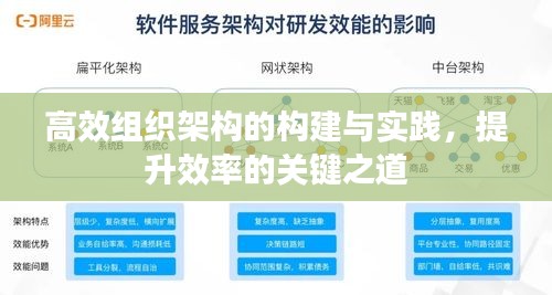 高效组织架构的构建与实践，提升效率的关键之道