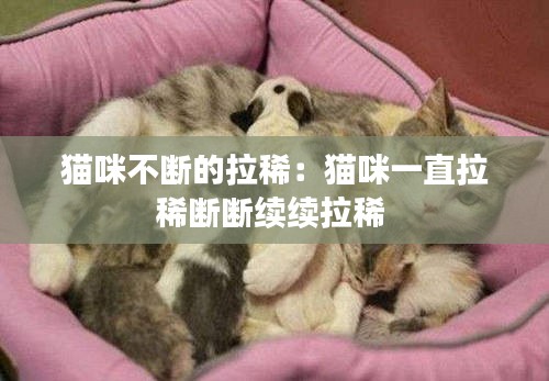 猫咪不断的拉稀：猫咪一直拉稀断断续续拉稀 