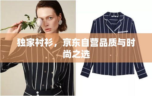 独家衬衫，京东自营品质与时尚之选