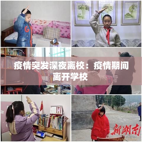 疫情突发深夜离校：疫情期间离开学校 