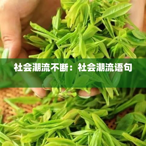 社会潮流不断：社会潮流语句 