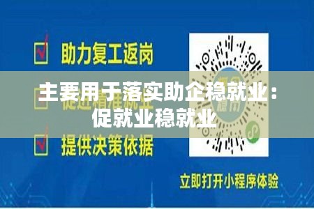 主要用于落实助企稳就业：促就业稳就业 