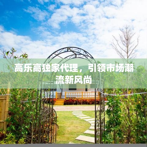 高乐高独家代理，引领市场潮流新风尚