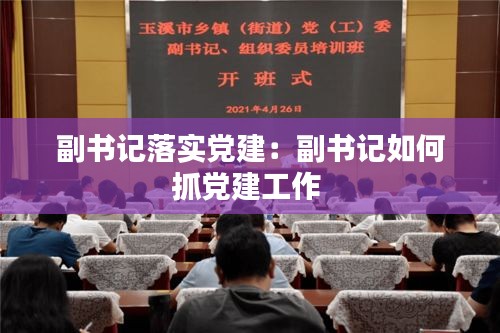 副书记落实党建：副书记如何抓党建工作 