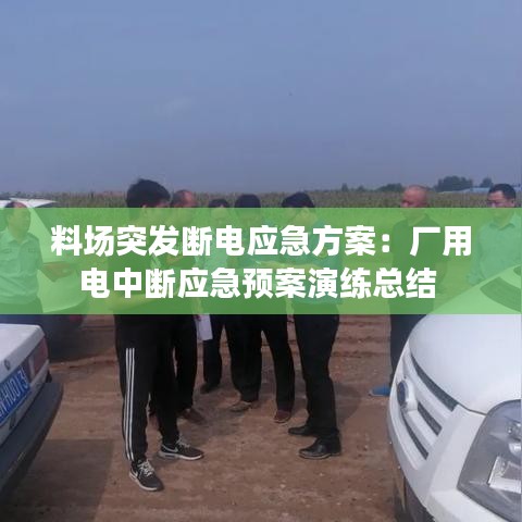 料场突发断电应急方案：厂用电中断应急预案演练总结 