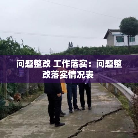 问题整改 工作落实：问题整改落实情况表 