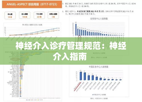 神经介入诊疗管理规范：神经介入指南 