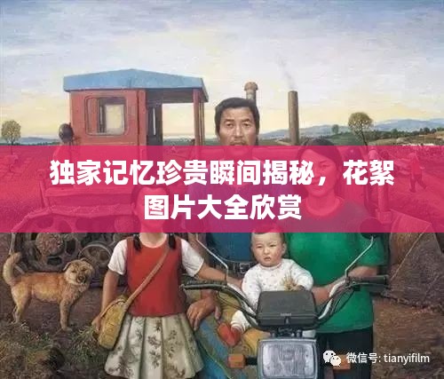 寥若晨星 第2页