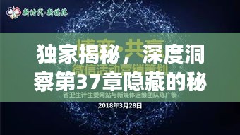 独家揭秘，深度洞察第37章隐藏的秘密