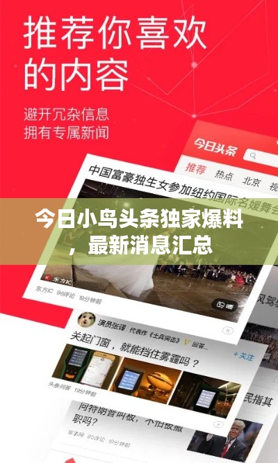 钗荆裙布 第2页