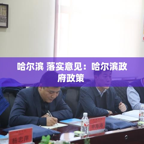 哈尔滨 落实意见：哈尔滨政府政策 